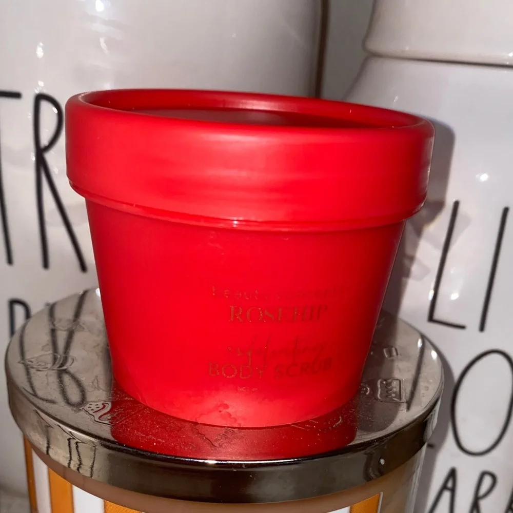 Beauty Concepts Rose Hip Exfoliating Body Scrub 3.5 oz New Sealed